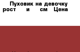 Пуховик на девочку рост 100 и 120 см › Цена ­ 2 100 - Челябинская обл., Челябинск г. Дети и материнство » Детская одежда и обувь   . Челябинская обл.,Челябинск г.